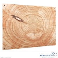 Tableau Ambiance Cernes de bois 100x100 cm